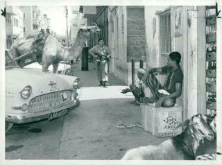 Vintage Photograph Of Aden Street Scene
