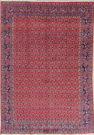 Mahal Wool Hand - Knotted All - Over Geometric Oriental Area Rug 8 X 11 Red Carpet
