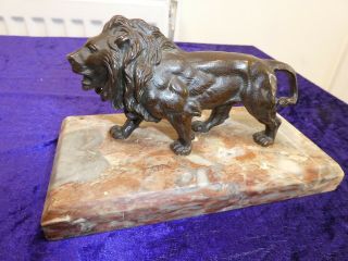 Antique C1890 Bronze Lion On Marble Base Superbly Cast/detailed Desk Ornament