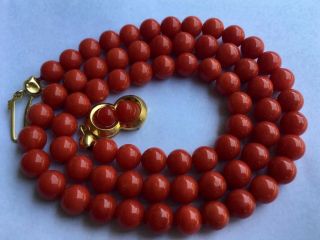 Antique Old Stock Natural Red Coral Necklace Gold Gilted Silver Clasp