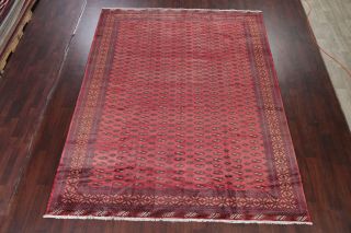 Vintage Geometric Bokhara Pakistan Oriental Area Rug Hand - Knotted Carpet 8 ' x11 ' 3