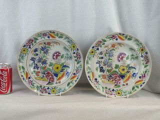 Fine Pair 19th C Chinese Porcelain Canton Famille Rose Floral Plates