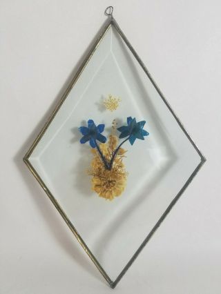 Vintage Real Pressed Dried Flower Beveled Glass Leaded Frame SUNCATCHER 2