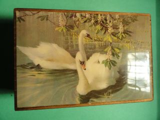 Vintage Reuge Music Box Swan Lake - Swiss Musical Movement 6in.  X 4in 2 - 3/4in
