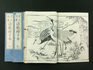 Birds Animals Flowers Japanese Woodblock Print 3 Books Set Kano - Sch Gafu Edo 252
