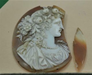Antique Victorian Shell Cameo Brooch Well Carved Signed 49 X 40 Mm Oval