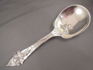 Lg Antique Sterling Silver Art Nouveau Daffodil Jonquil Serving Spoon 10 1/4 "