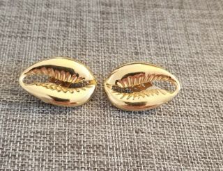 Vintage Signed Coreen Simpson Cowrie Shell Clip On Earrings Gold Tone