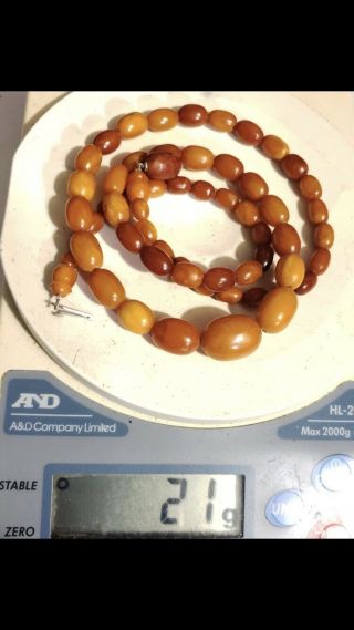 Vtg Antique Butterscotch Egg Yolk Amber Beads Necklace 21 Grams 3