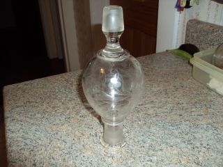 Apothecary Stacking Show Globe Clear Glass Decorative Etched Pharmacy Drug Store