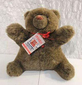 Spinoza Talking Teddy Bear Speaks From The Heart Cassette Player Plush W Tags