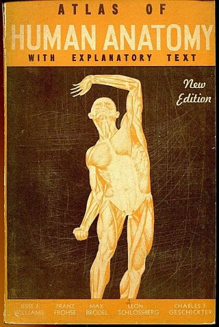 Atlas Of Human Anatomy - By Jesse F.  Williams Vintage Medical Book 1942