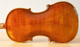 Old Violin 4/4 Geige Viola Cello Fiddle Label Caeser Castelli