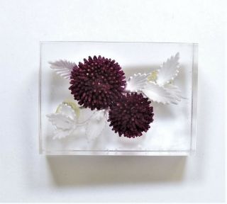 Vintage Reverse Carved Lucite Purple White Crysanthemums Brooch Pin & Jn18605