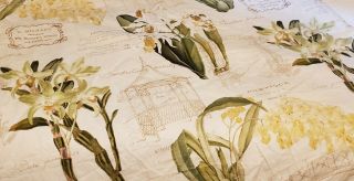Pottery Barn Queen Botanical Orchid Duvet Cover Floral Architectural Vintage