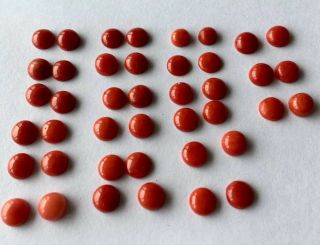 Antique Old Stock Natural Red Coral Cabochons Other Amber Turquoise