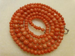 Antique,  Victorian Carved Salmon Red Coral,  Graduating Beads Necklace,  C 1880s