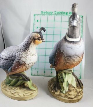 2 Vintage Andrea By Sadek Porcelain Bird Figurine California Quail 8 "