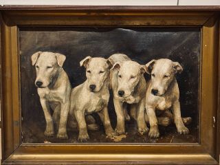 19th Century English School Portrait Of Bull Terriers Dogs Antique Oil Painting