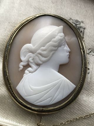 Antique Victorian /edwardian Carved Italian Shell Cameo Brooch/pin