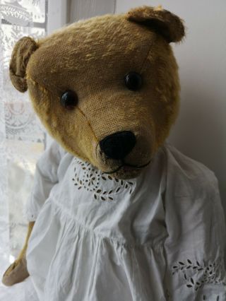 Antique Vintage German Character Mohair Teddy Bear 1920s,  30 "