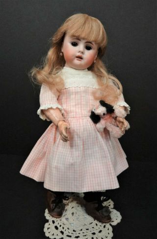 Great Cabinet Size Rare Bahr & Proschild Mold 248 Antique Bisque Doll - 13 "