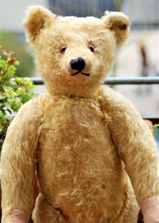 Gorgeous Goldblond Steiff Mohair Teddy Bear With Ff Button - 1915 - 16 " Tall