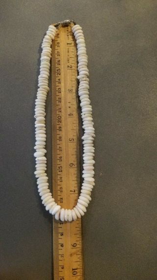 Vintage 10mm Hawaiian Puka Shell Bead Necklace 16 "