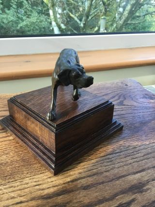 Vintage Bronze Sculpture Of A Hound On An Oak Stepped Plinth 3