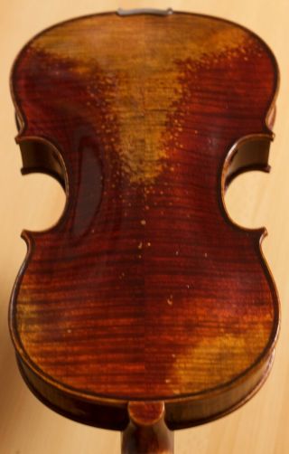 Very Old Labelled Vintage Violin " J.  Franc.  Pressenda " Fiddle 小提琴 ヴァイオリン Geige