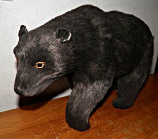 Vtg Professional Lg Realistic Black Bear Figure 17 " L Rustic Cabin Decor Figurine