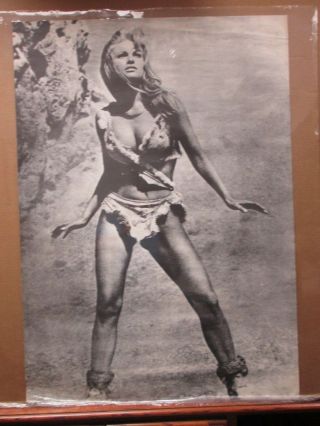 Rachel Welch Hot Girl Black White Vint Poster 1970 