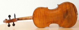 Very Old Labelled Vintage Violin " David Tecchler 1721 " Fiddle 小提琴 ヴァイオリン Geige