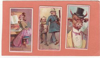 W.  Duke Three Scarce Types Of Jokes.  Cat £54.  00.  Issued 1890.