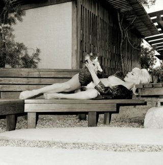Vintage Pinup Negative & Photo 1960s Sexy Dancer Kitty Lynne (nudes)