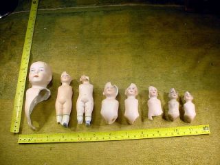 8 X Excavated Vintage Lovely Bisque Doll Parts Hertwig Age 1890 B 511