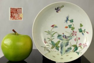 (1) A Chinese Famille Rose Dish With Pigeon Doves Seal Mark To Base 19th/20thc