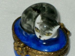 Vtg Limoges France Artist Signed Cat Porcelain Hand Painted Small Trinket Box