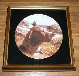 Vintage Framed Robert K Abbett German Shorthair Pointer Dog Collector Plate