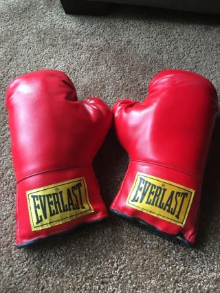 Everlast Boxing Gloves 12oz Vintage