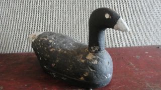Hand Carved Antique Wood Scarce Vtg Old Time Coot Duck Decoy
