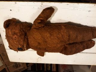 Antique Unique One Of A Kind Plush Bear Bank? Steif Like Probably German