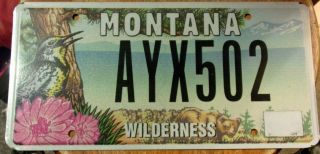 Explore Montana Wilderness License Plate Ayx 502