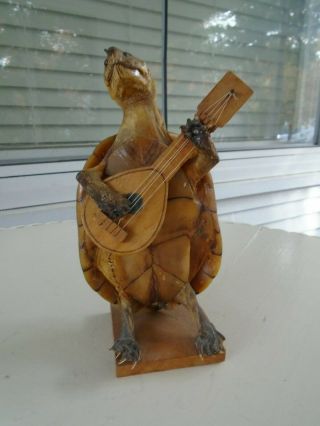 Vintage Taxidermy Turtle Playing Guitar