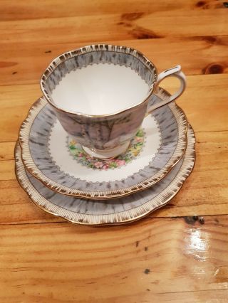 Vintage 1970s Royal Albert " Silver Birch " Tea Cup,  Saucer,  Side Plate