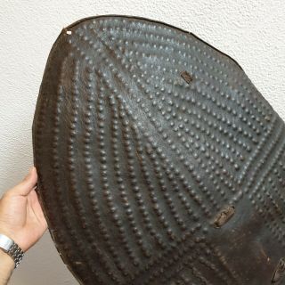 4 Old Rare Antique African Cameroon Mandara Kirdi Hunter Leather Warrior Shield 3