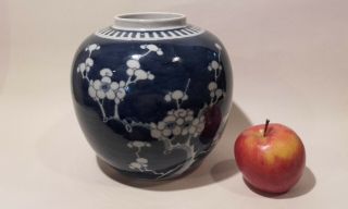 A Large Antique Vintage Chinese Prunus Porcelain Vase / Jar