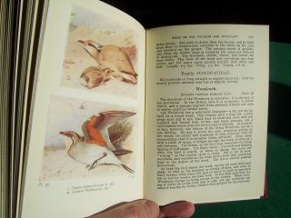 Birds of the Wayside and Woodland by T.  A.  Coward & Enid Blyton (hb,  1947) 3