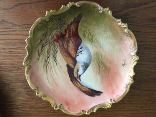 Antique Limoges Coronet Bird Plate Hand Painted Signed By A.  Broussillon Perfect