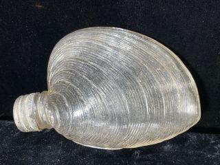 Rare Antique Figural Clam Shell Whiskey Flask Cap Foust Distillery Glen Rock Pa